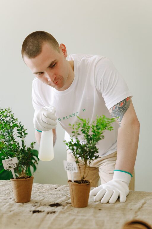 Tips for Keeping Houseplants Healthy and Thriving